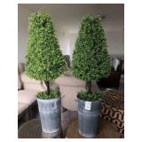 2PC TOPIARIES