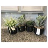 4PC GREENERY