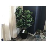 GREENERY