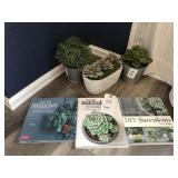 6PC SUCCULENT SET