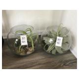 2PC SUCCULENTS