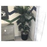 GREENERY