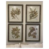 PRINTS