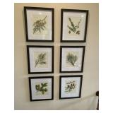 PRINTS