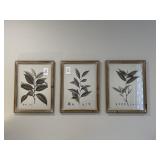 4PC IMAX CORP PRINTS