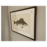 FISH PRINTS