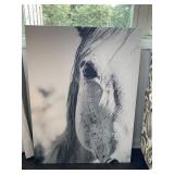 HORSE CANVAS