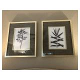 PRINTS