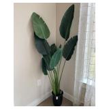 FLOOR PLANT