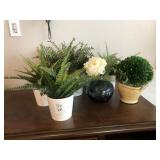 6PC GREENERY