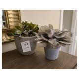 2 PC SUCCULANT