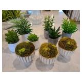 GREENERY 9PC
