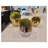 POTTED MOSS 3PC