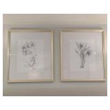 FRAMED FLOWER SKETCHES