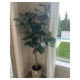 FLOOR PLANT