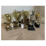 ASSORTED TROPHYS