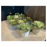 4PC SUCCULENTS