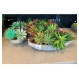 4PC SUCCULENTS