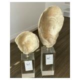 2PC DECO