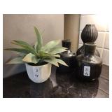 3 VASES & SUCCULENT