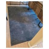 AREA RUG