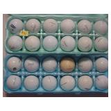 24 Titleist Pro VI golf balls