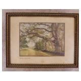 1920 The Great Wayside Oak Wallace Nutting print