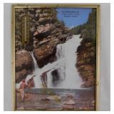 1956 Payton Seed Bismarck Illinois thermometer /