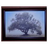 Oak & Blue Sky textured print by William Guion,