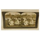 3 antique stereoview cards of sheep -