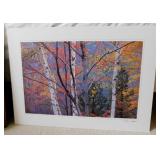 Birch Trees print by Tom Algire - 4 botanical