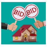 Check out our auctions every week!