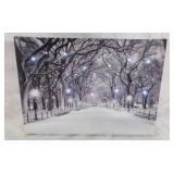 Lighted stretched canvas Snowy Central Park print