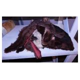 Furs: Collars - Muff