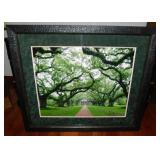 Oak Alley Louisiana Plantation photo, double