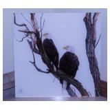 Framed nature art: Bald Eagles by Jeff Blumberg -
