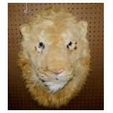 Plush lion head wall mount w/ plastic eyes,