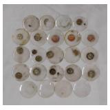 23 antique watch crystals, assorted sizes