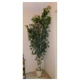 Lighted faux ficus tree in planter, 7