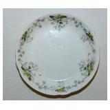 Schonbrunn Waterloo England floral transferware