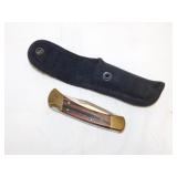 Buck 110 folding hunter lockback knife in sheath