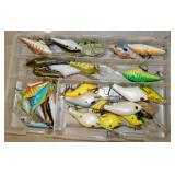 Fishing lures in organizer case