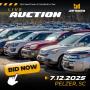 SOUTHEAST AUTOMOBILE AUCTION FEATURING VEHICLES, BOATS, MOTORCYCLES, RVS - JULY 12TH at 9AM ET