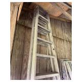 10' A-frame Werner ladder