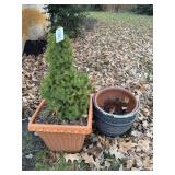 Plastic and Ceramic Plant Pots and Pot Holders