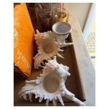 Pair of White Seashell Tealight Candle Holders
