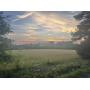 81.25 +/- Ac on Reedy Creek Rd., Lunenburg, VA