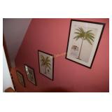 5 Framed pictures.