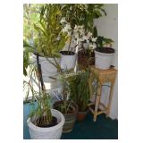 10 pots, plant stand, rolling cart & glass top