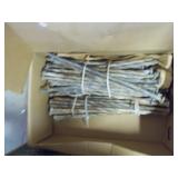 Long nails GAR2